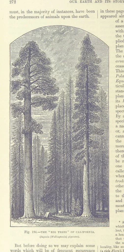 An illustration from Our Earth and its Story: a popular treatise on physical geography. Edited by R. Brown. With ... coloured plates and maps, etc, 1893, leaf 712