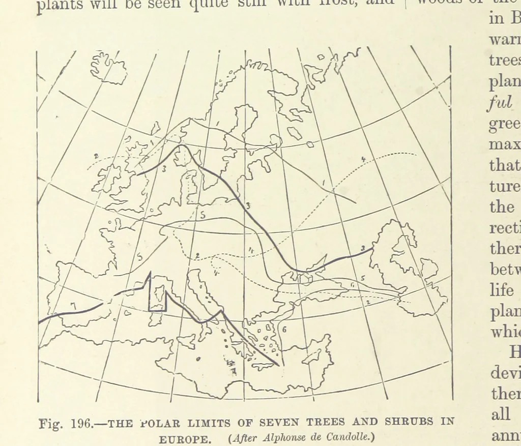 An illustration from Our Earth and its Story: a popular treatise on physical geography. Edited by R. Brown. With ... coloured plates and maps, etc, 1893, leaf 714