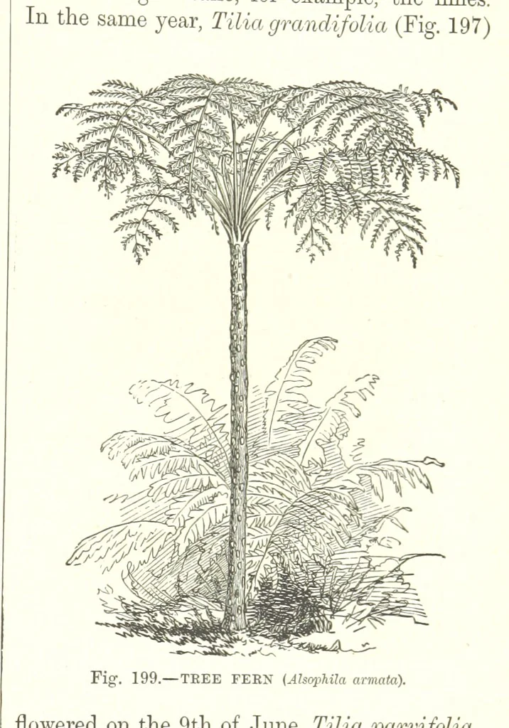 An illustration from Our Earth and its Story: a popular treatise on physical geography. Edited by R. Brown. With ... coloured plates and maps, etc, 1893, leaf 717
