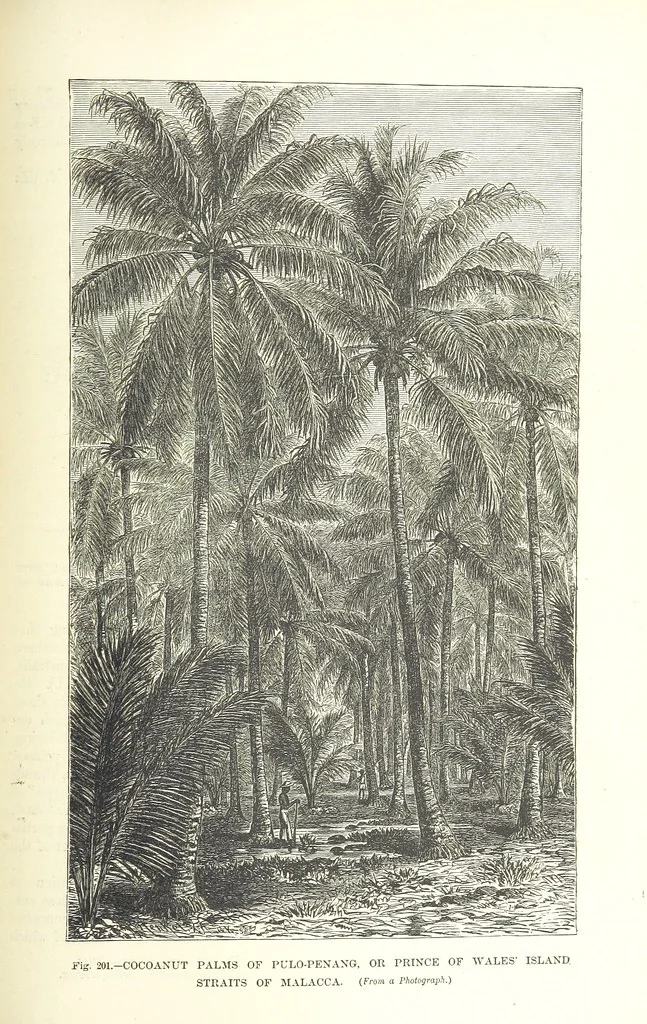 An illustration from Our Earth and its Story: a popular treatise on physical geography. Edited by R. Brown. With ... coloured plates and maps, etc, 1893, leaf 719