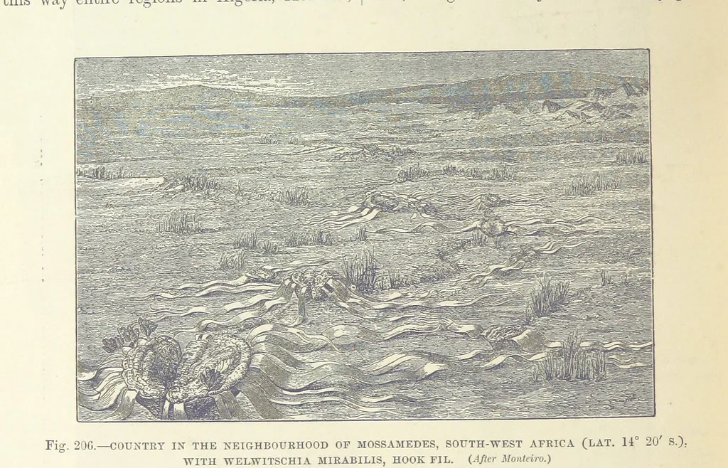An illustration from Our Earth and its Story: a popular treatise on physical geography. Edited by R. Brown. With ... coloured plates and maps, etc, 1893, leaf 722