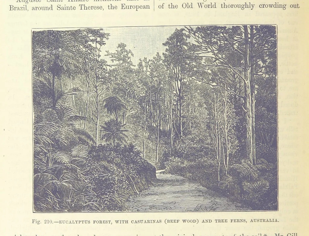 An illustration from Our Earth and its Story: a popular treatise on physical geography. Edited by R. Brown. With ... coloured plates and maps, etc, 1893, leaf 728