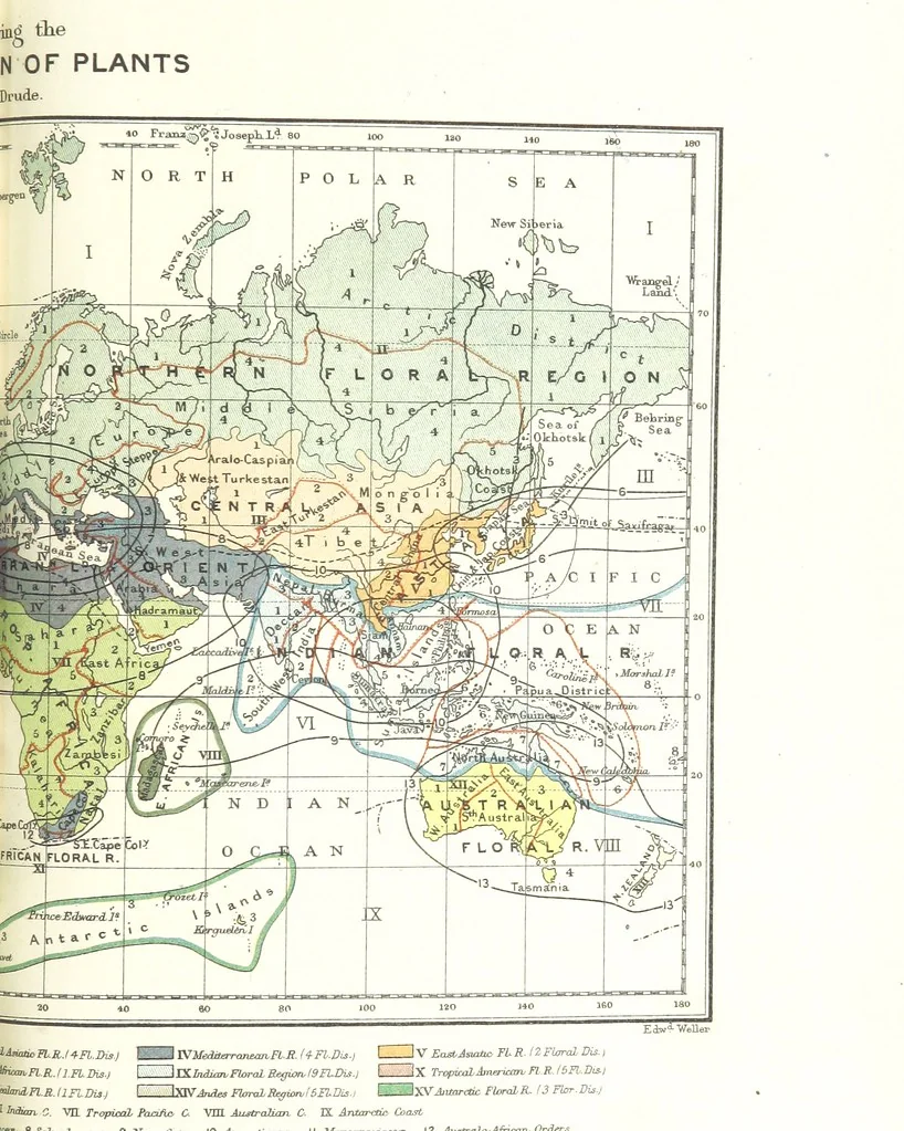 An illustration from Our Earth and its Story: a popular treatise on physical geography. Edited by R. Brown. With ... coloured plates and maps, etc, 1893, leaf 731