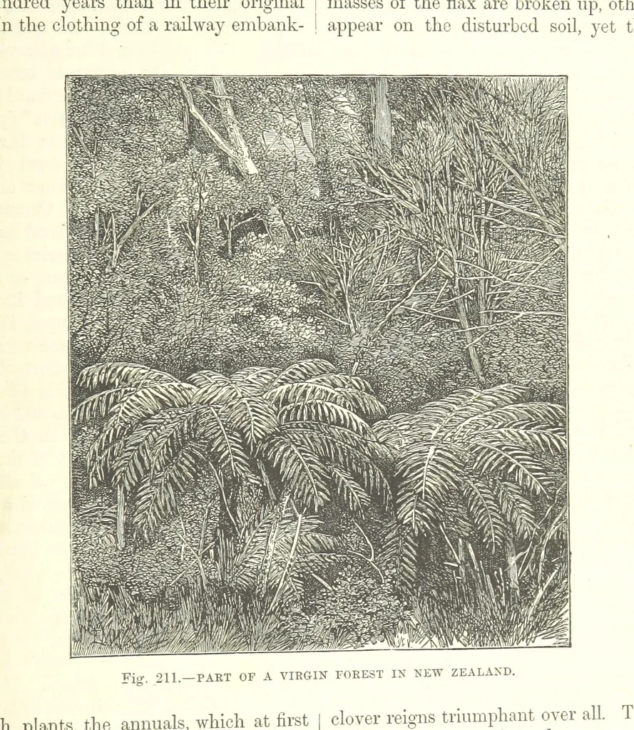 An illustration from Our Earth and its Story: a popular treatise on physical geography. Edited by R. Brown. With ... coloured plates and maps, etc, 1893, leaf 733