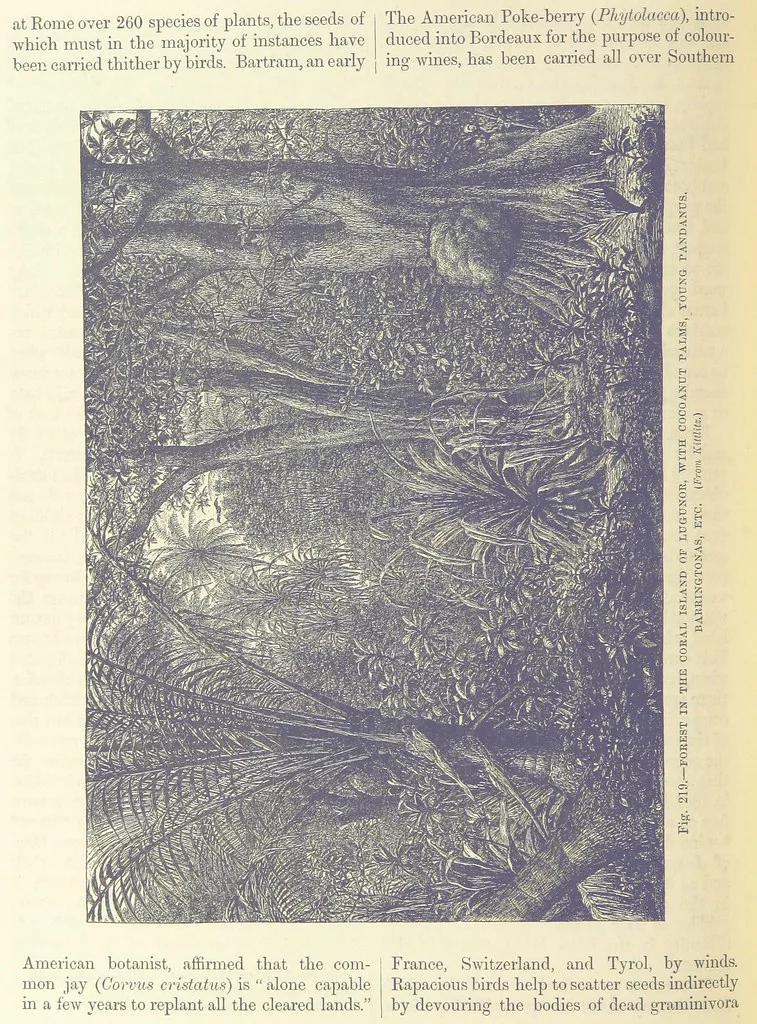 An illustration from Our Earth and its Story: a popular treatise on physical geography. Edited by R. Brown. With ... coloured plates and maps, etc, 1893, leaf 744