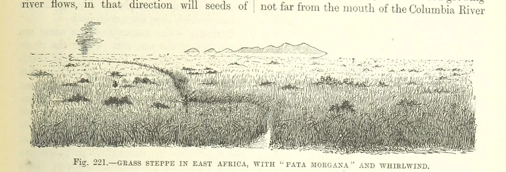 An illustration from Our Earth and its Story: a popular treatise on physical geography. Edited by R. Brown. With ... coloured plates and maps, etc, 1893, leaf 749