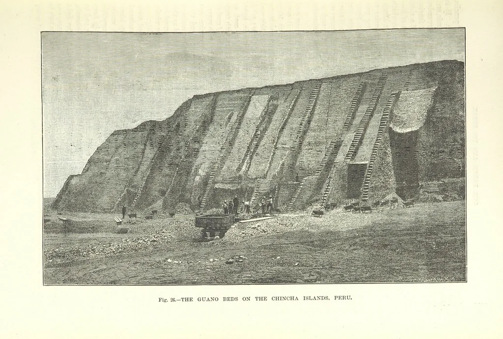 An illustration from Our Earth and its Story: a popular treatise on physical geography. Edited by R. Brown. With ... coloured plates and maps, etc, 1893, leaf 75