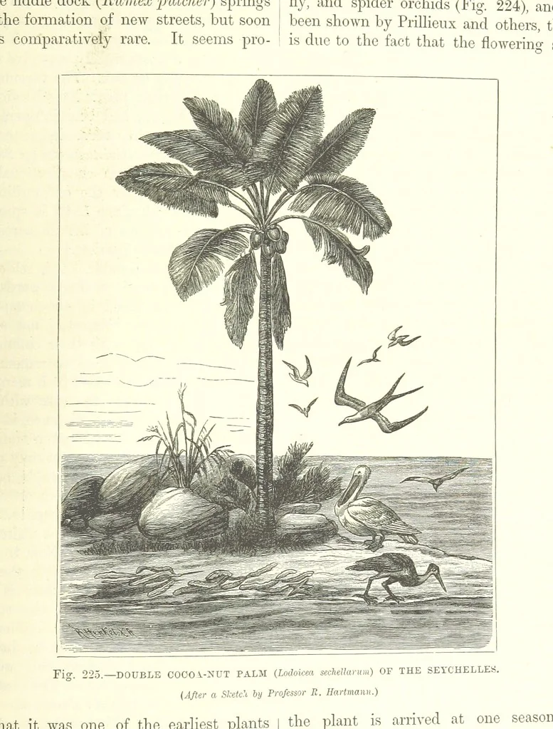 An illustration from Our Earth and its Story: a popular treatise on physical geography. Edited by R. Brown. With ... coloured plates and maps, etc, 1893, leaf 757