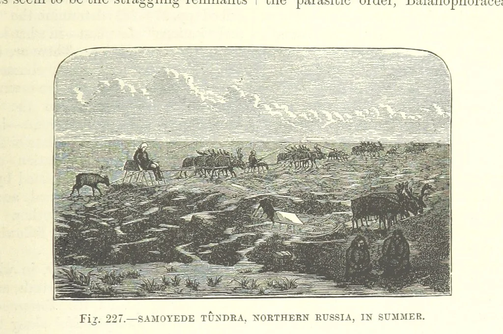 An illustration from Our Earth and its Story: a popular treatise on physical geography. Edited by R. Brown. With ... coloured plates and maps, etc, 1893, leaf 761