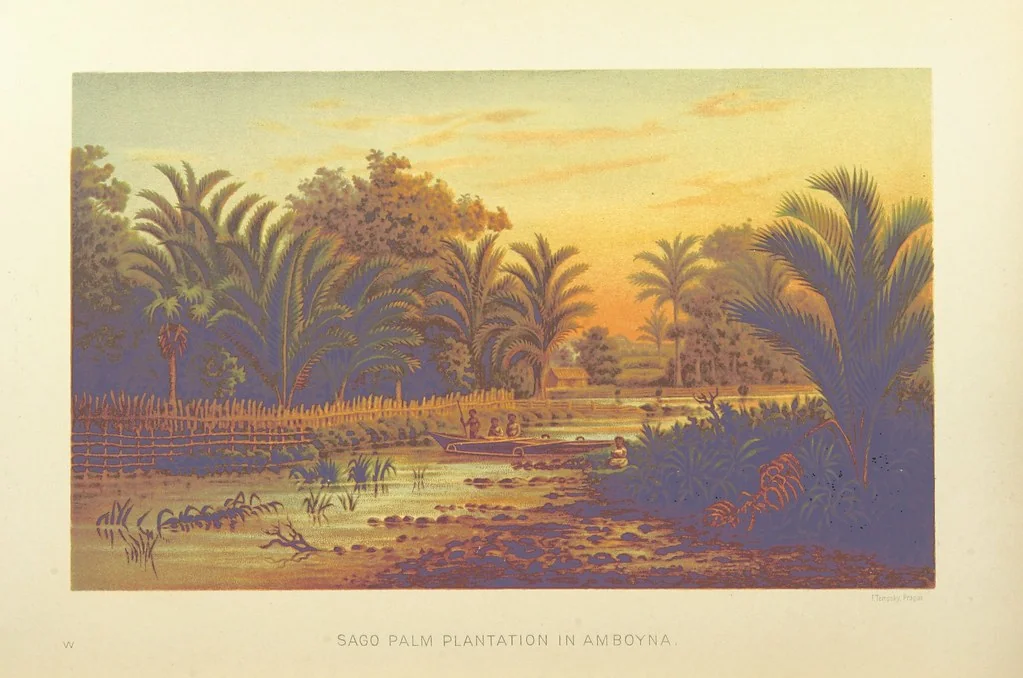 An illustration from Our Earth and its Story: a popular treatise on physical geography. Edited by R. Brown. With ... coloured plates and maps, etc, 1893, leaf 766