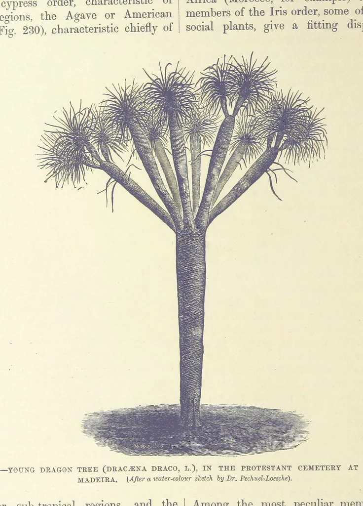 An illustration from Our Earth and its Story: a popular treatise on physical geography. Edited by R. Brown. With ... coloured plates and maps, etc, 1893, leaf 768