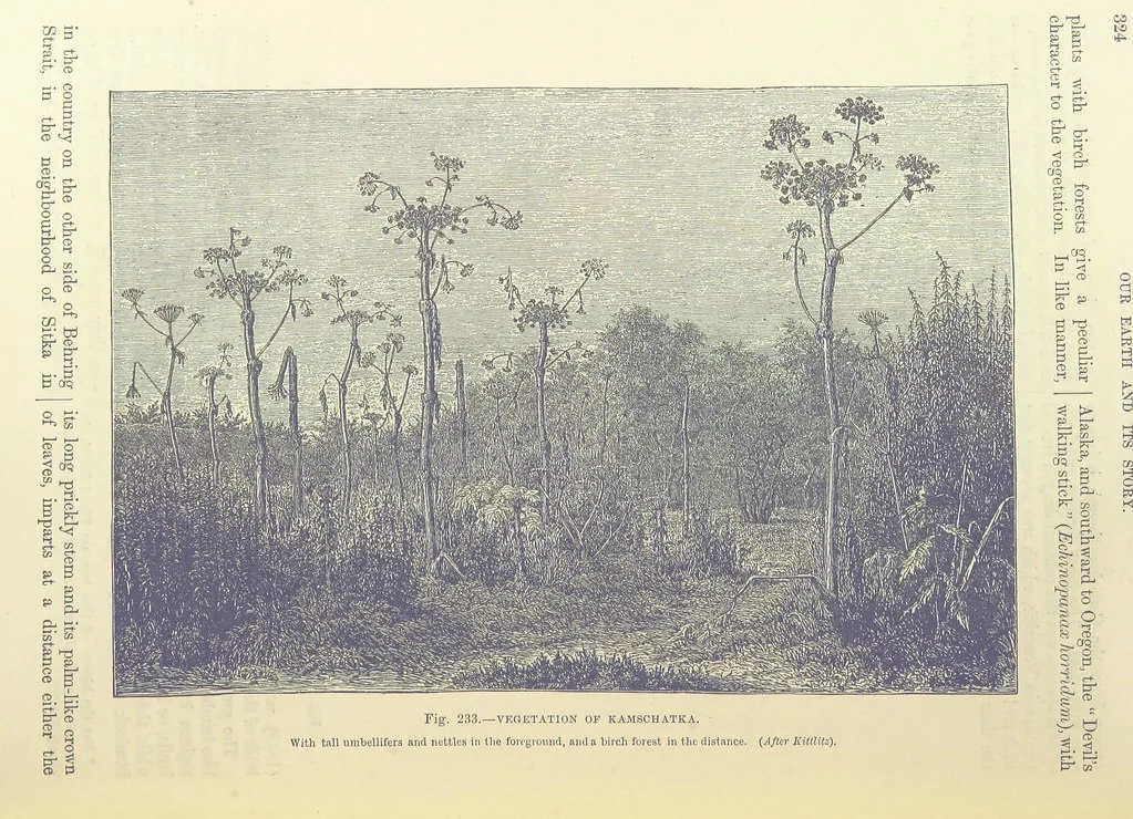 An illustration from Our Earth and its Story: a popular treatise on physical geography. Edited by R. Brown. With ... coloured plates and maps, etc, 1893, leaf 770