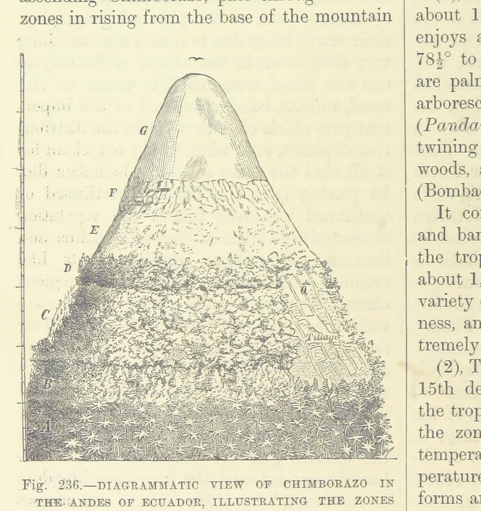 An illustration from Our Earth and its Story: a popular treatise on physical geography. Edited by R. Brown. With ... coloured plates and maps, etc, 1893, leaf 774