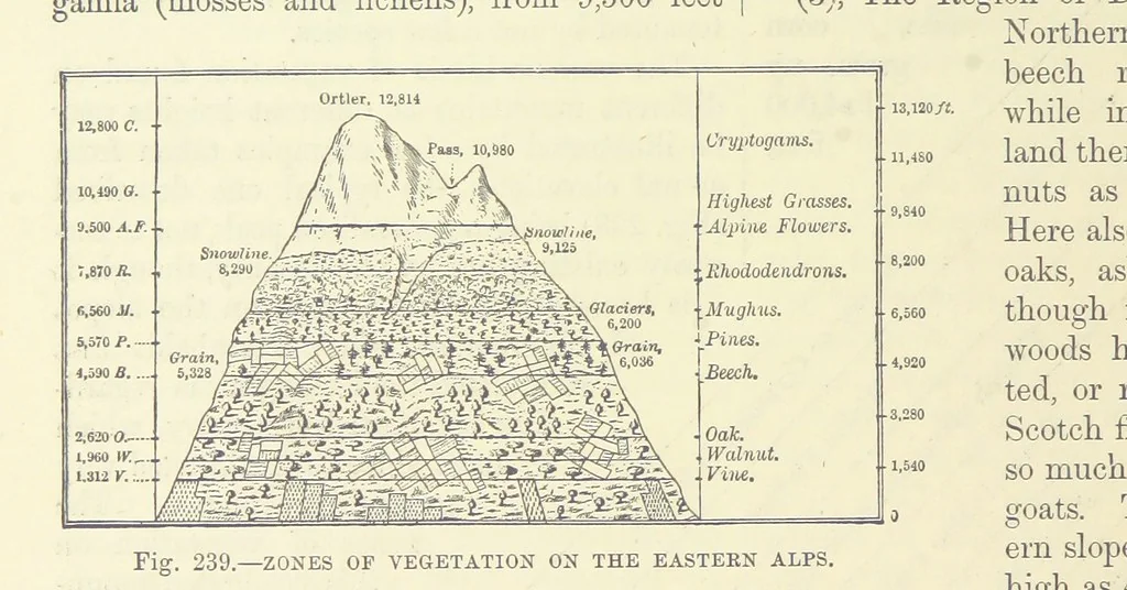 An illustration from Our Earth and its Story: a popular treatise on physical geography. Edited by R. Brown. With ... coloured plates and maps, etc, 1893, leaf 782