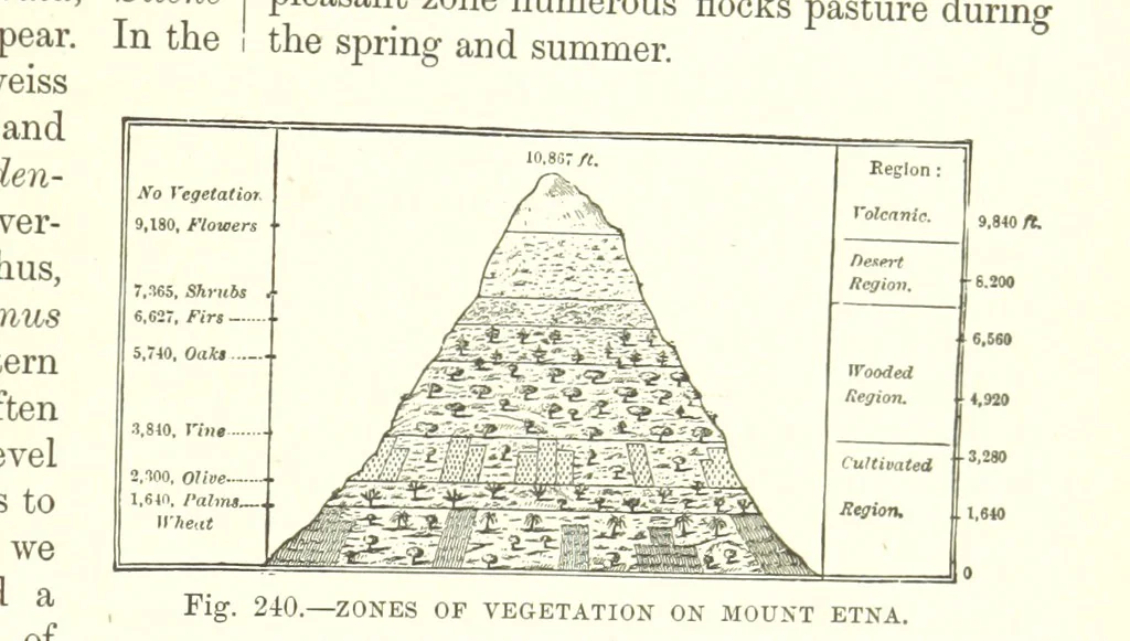 An illustration from Our Earth and its Story: a popular treatise on physical geography. Edited by R. Brown. With ... coloured plates and maps, etc, 1893, leaf 783