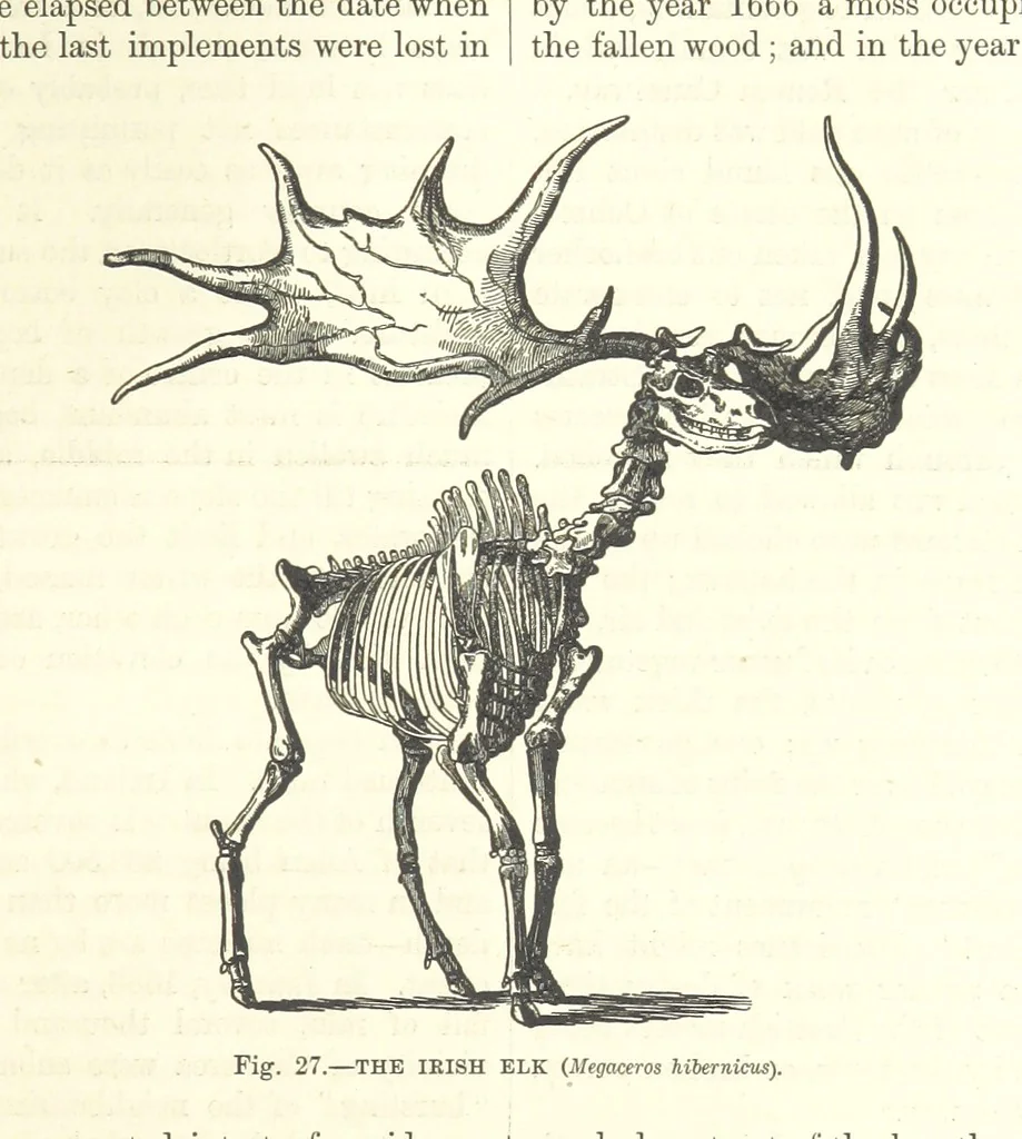 An illustration from Our Earth and its Story: a popular treatise on physical geography. Edited by R. Brown. With ... coloured plates and maps, etc, 1893, leaf 79
