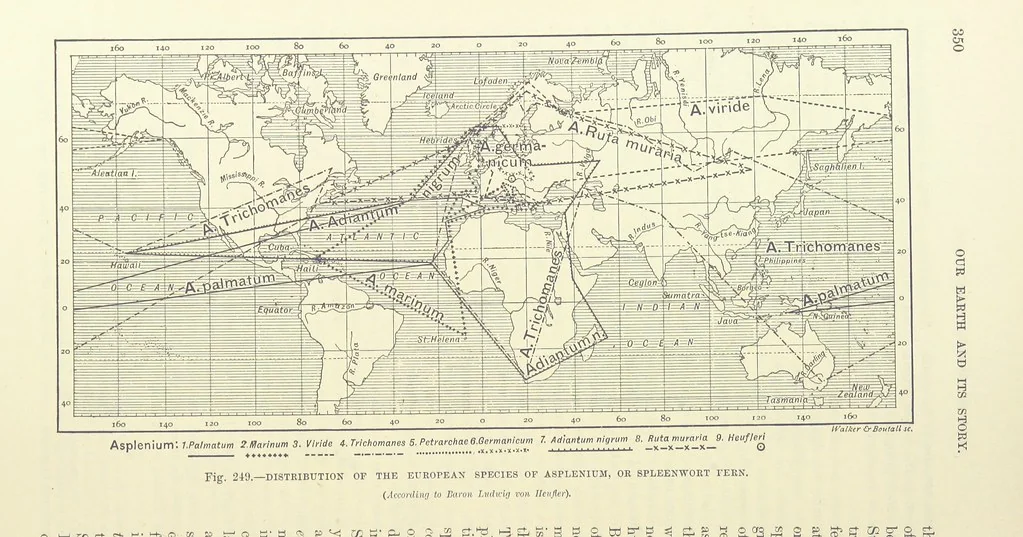 An illustration from Our Earth and its Story: a popular treatise on physical geography. Edited by R. Brown. With ... coloured plates and maps, etc, 1893, leaf 796