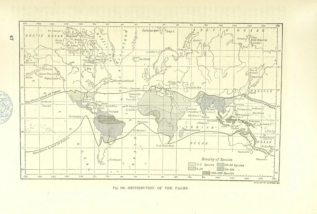 An illustration from Our Earth and its Story: a popular treatise on physical geography. Edited by R. Brown. With ... coloured plates and maps, etc, 1893, leaf 801