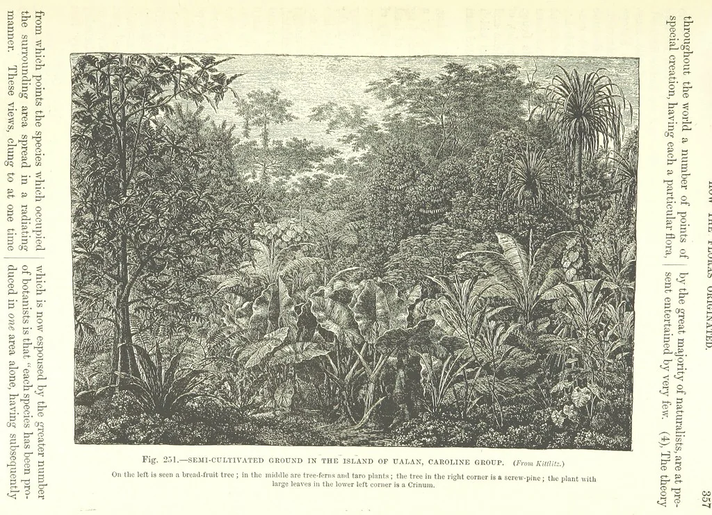 An illustration from Our Earth and its Story: a popular treatise on physical geography. Edited by R. Brown. With ... coloured plates and maps, etc, 1893, leaf 805
