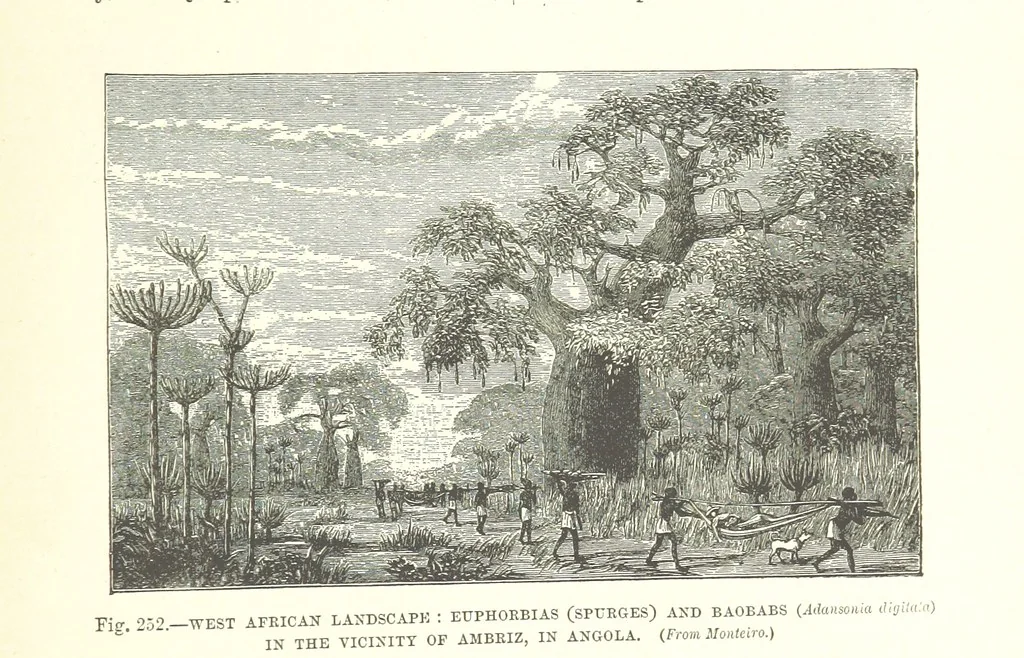 An illustration from Our Earth and its Story: a popular treatise on physical geography. Edited by R. Brown. With ... coloured plates and maps, etc, 1893, leaf 807