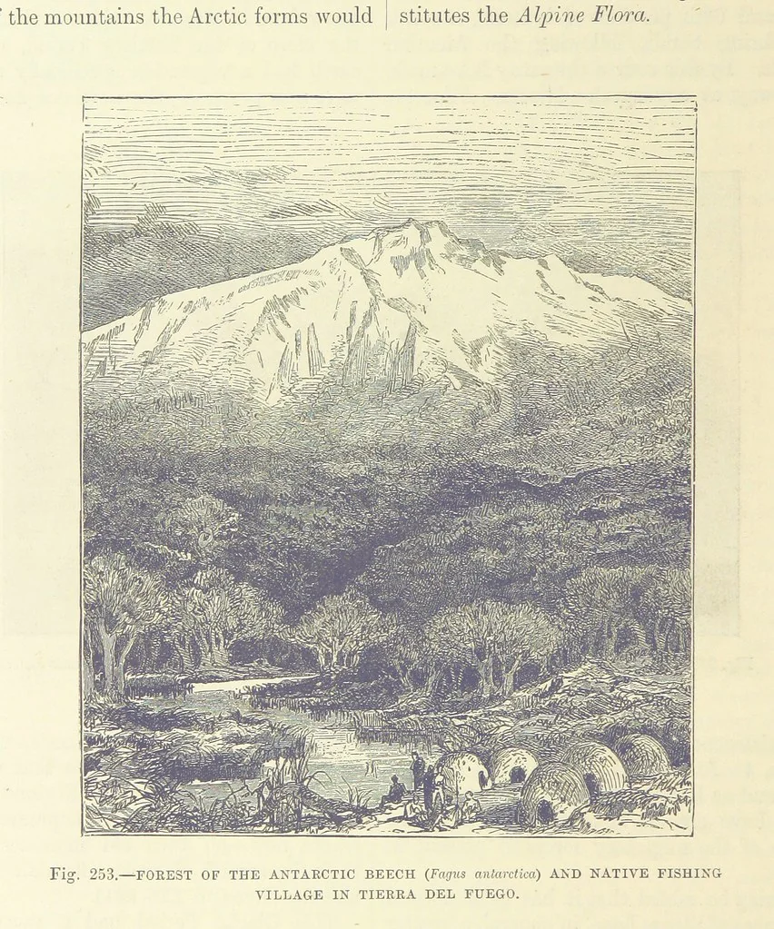 An illustration from Our Earth and its Story: a popular treatise on physical geography. Edited by R. Brown. With ... coloured plates and maps, etc, 1893, leaf 808