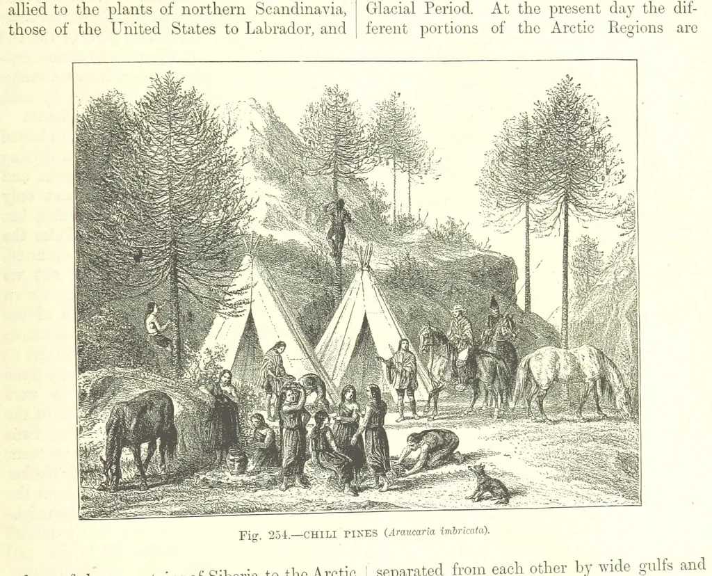 An illustration from Our Earth and its Story: a popular treatise on physical geography. Edited by R. Brown. With ... coloured plates and maps, etc, 1893, leaf 809
