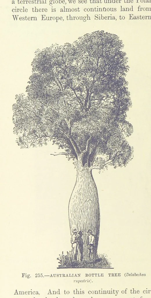 An illustration from Our Earth and its Story: a popular treatise on physical geography. Edited by R. Brown. With ... coloured plates and maps, etc, 1893, leaf 810