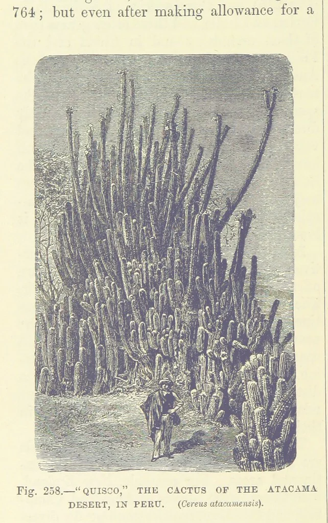 An illustration from Our Earth and its Story: a popular treatise on physical geography. Edited by R. Brown. With ... coloured plates and maps, etc, 1893, leaf 816
