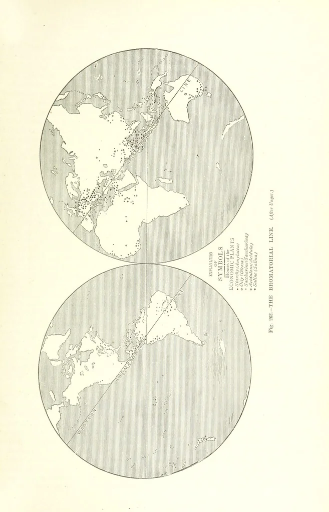 An illustration from Our Earth and its Story: a popular treatise on physical geography. Edited by R. Brown. With ... coloured plates and maps, etc, 1893, leaf 821