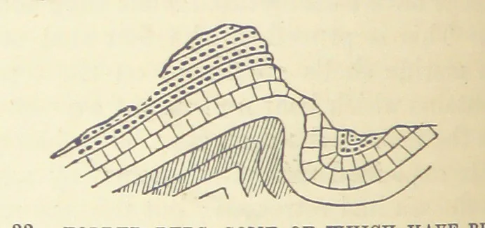 An illustration from Our Earth and its Story: a popular treatise on physical geography. Edited by R. Brown. With ... coloured plates and maps, etc, 1893, leaf 94