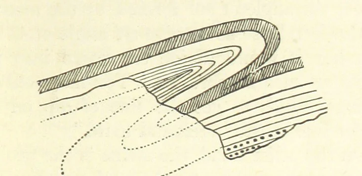 An illustration from Our Earth and its Story: a popular treatise on physical geography. Edited by R. Brown. With ... coloured plates and maps, etc, 1893, leaf 95