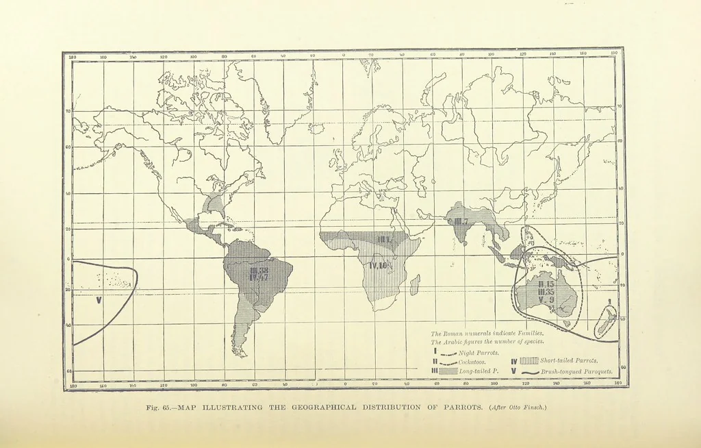 An illustration from Our Earth and its Story: a popular treatise on physical geography. Edited by R. Brown. With ... coloured plates and maps, etc, 1893, leaf 100