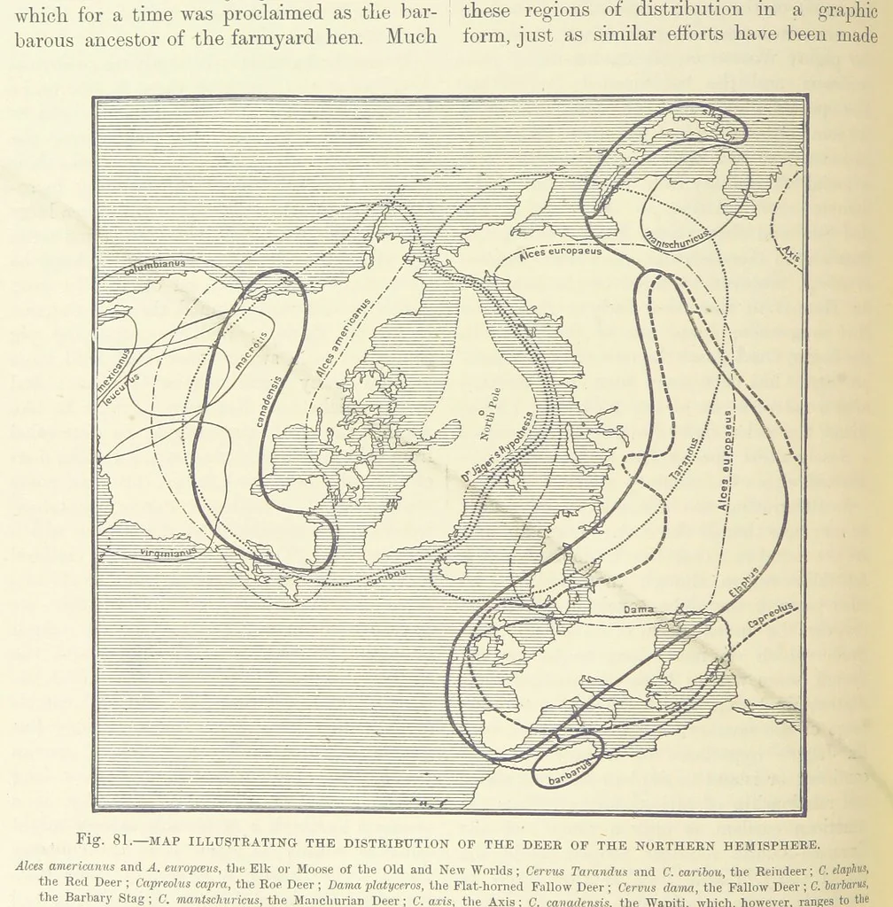 An illustration from Our Earth and its Story: a popular treatise on physical geography. Edited by R. Brown. With ... coloured plates and maps, etc, 1893, leaf 118