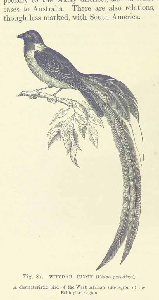 An illustration from Our Earth and its Story: a popular treatise on physical geography. Edited by R. Brown. With ... coloured plates and maps, etc, 1893, leaf 124
