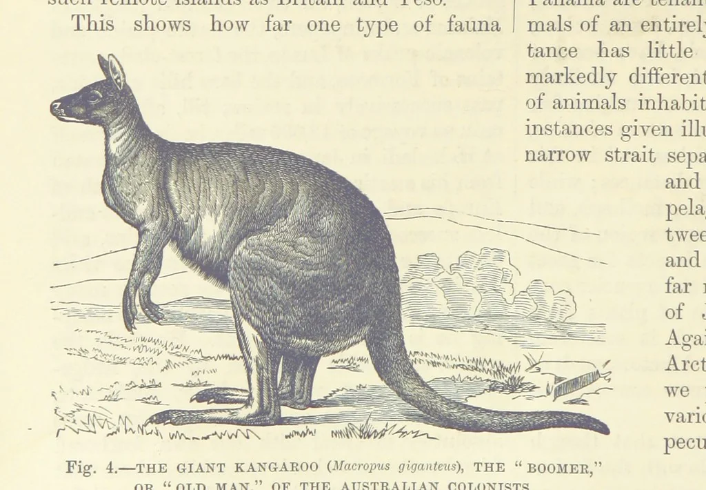 An illustration from Our Earth and its Story: a popular treatise on physical geography. Edited by R. Brown. With ... coloured plates and maps, etc, 1893, leaf 14