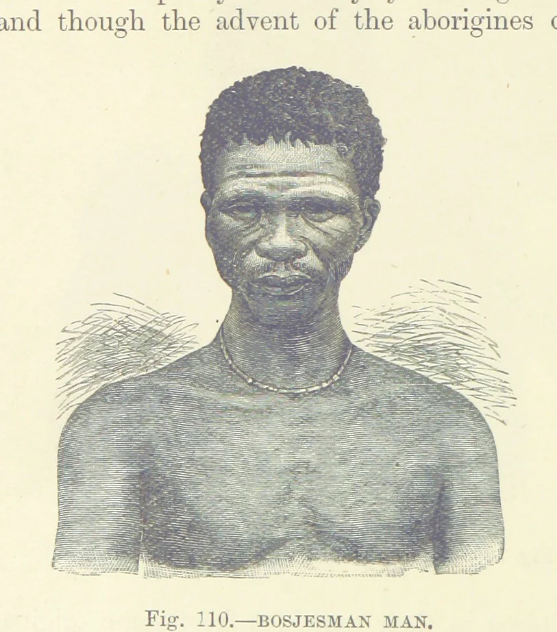 An illustration from Our Earth and its Story: a popular treatise on physical geography. Edited by R. Brown. With ... coloured plates and maps, etc, 1893, leaf 146