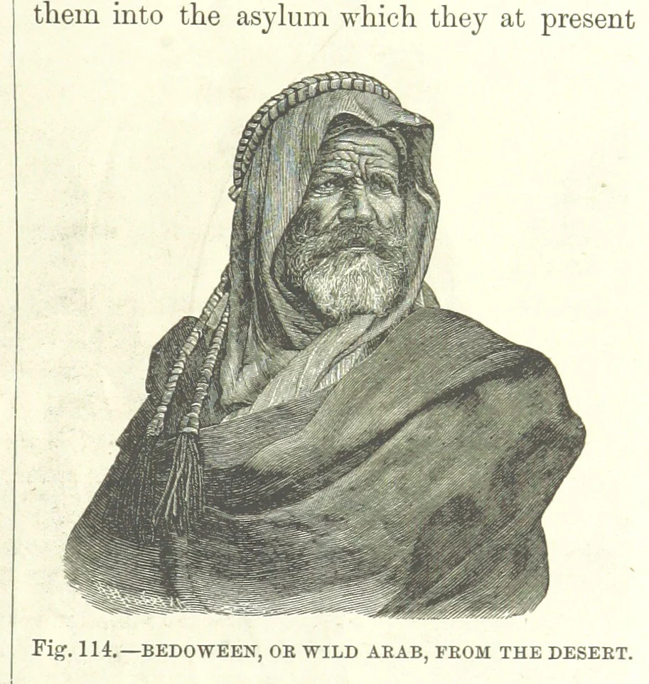 An illustration from Our Earth and its Story: a popular treatise on physical geography. Edited by R. Brown. With ... coloured plates and maps, etc, 1893, leaf 149