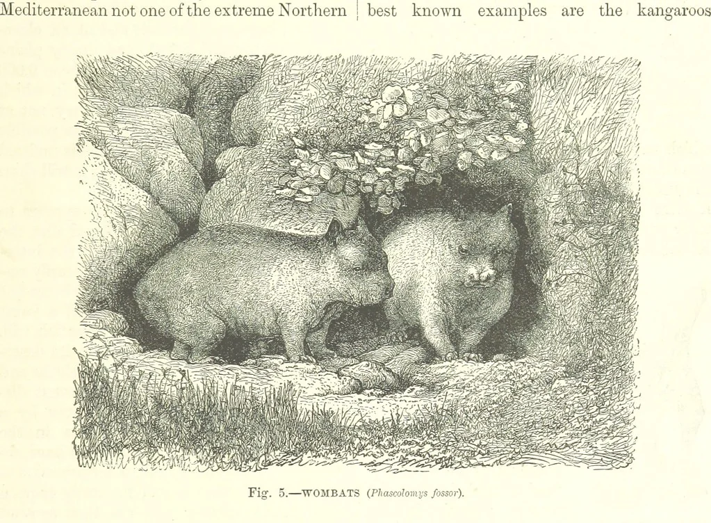An illustration from Our Earth and its Story: a popular treatise on physical geography. Edited by R. Brown. With ... coloured plates and maps, etc, 1893, leaf 15
