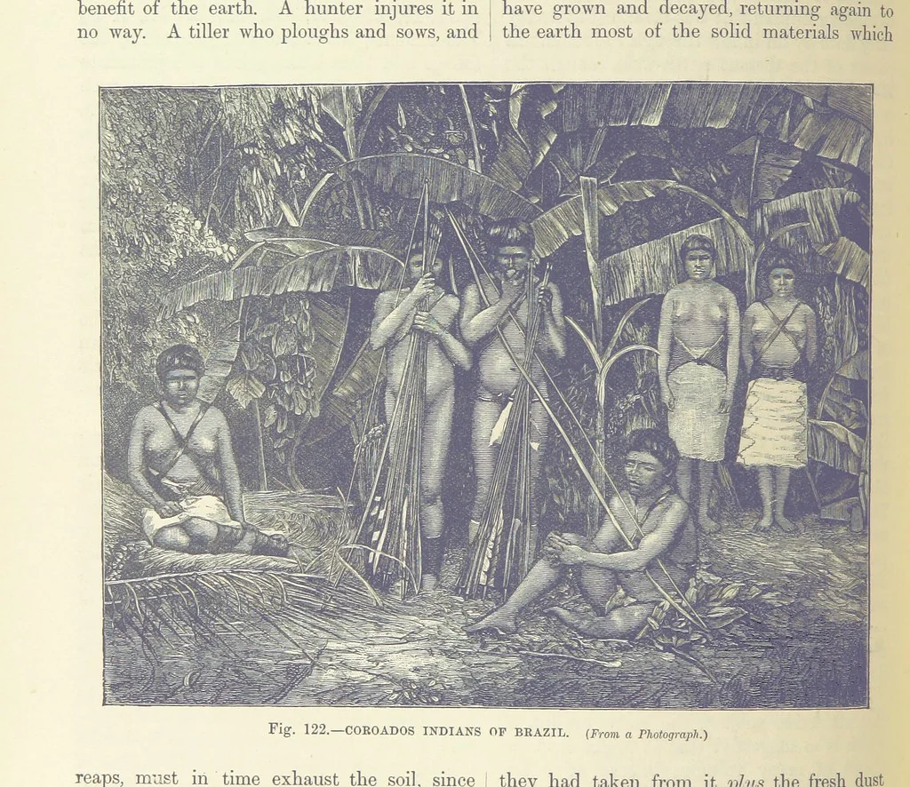 An illustration from Our Earth and its Story: a popular treatise on physical geography. Edited by R. Brown. With ... coloured plates and maps, etc, 1893, leaf 156