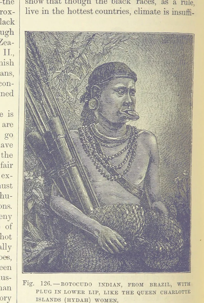 An illustration from Our Earth and its Story: a popular treatise on physical geography. Edited by R. Brown. With ... coloured plates and maps, etc, 1893, leaf 160