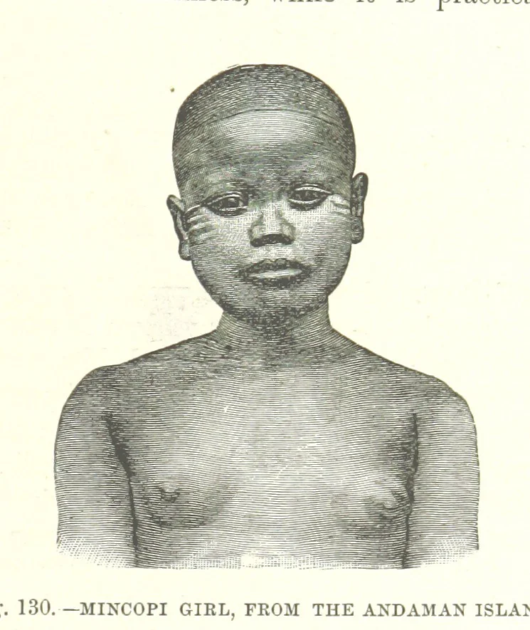 An illustration from Our Earth and its Story: a popular treatise on physical geography. Edited by R. Brown. With ... coloured plates and maps, etc, 1893, leaf 165