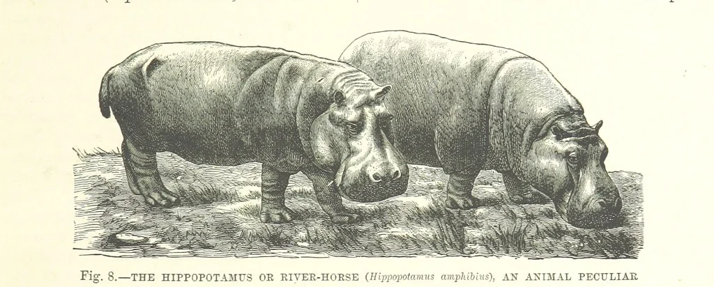 An illustration from Our Earth and its Story: a popular treatise on physical geography. Edited by R. Brown. With ... coloured plates and maps, etc, 1893, leaf 17