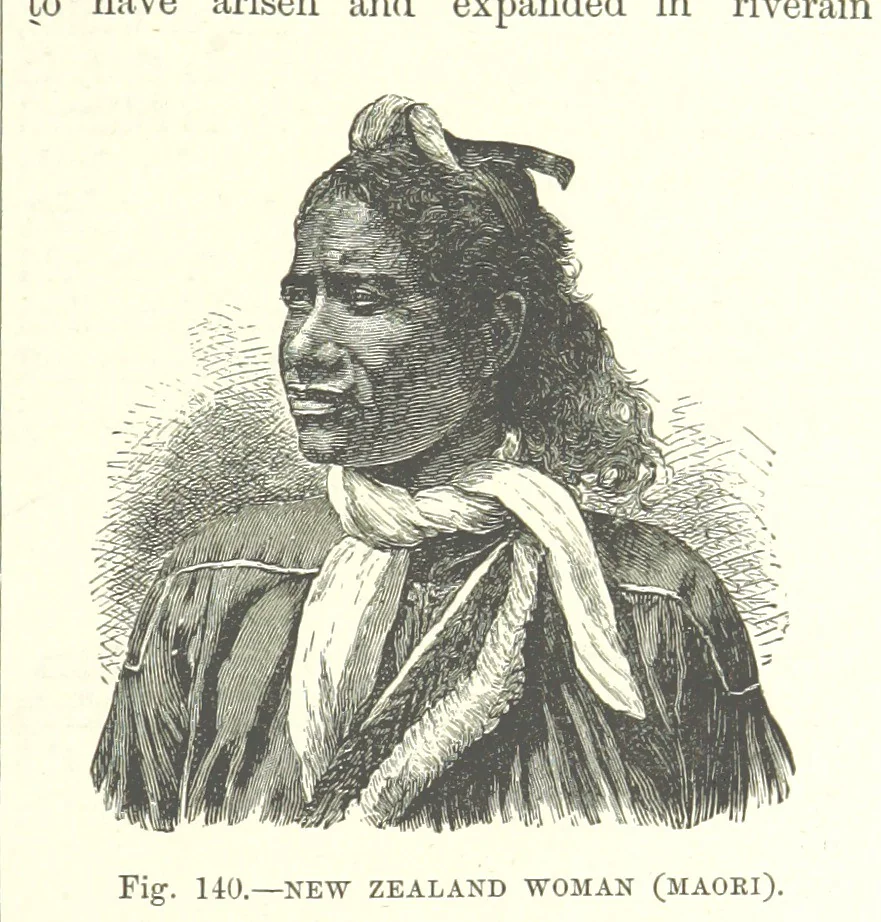 An illustration from Our Earth and its Story: a popular treatise on physical geography. Edited by R. Brown. With ... coloured plates and maps, etc, 1893, leaf 173