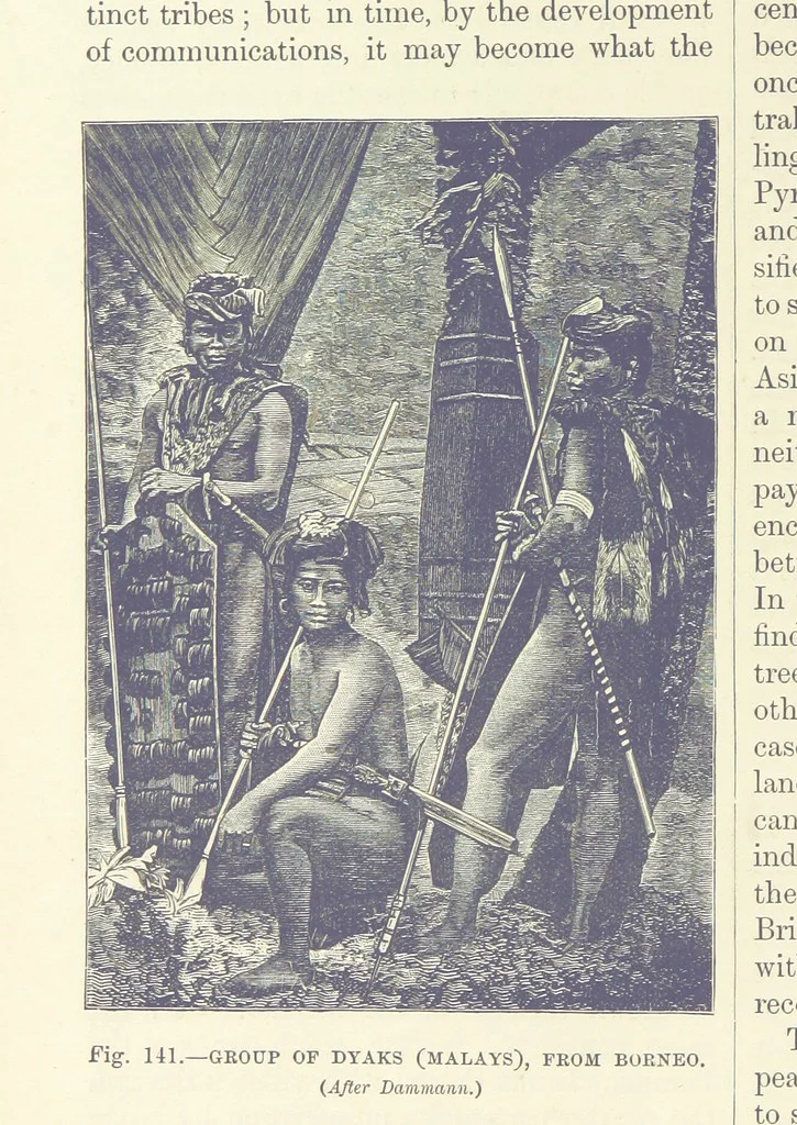 An illustration from Our Earth and its Story: a popular treatise on physical geography. Edited by R. Brown. With ... coloured plates and maps, etc, 1893, leaf 176