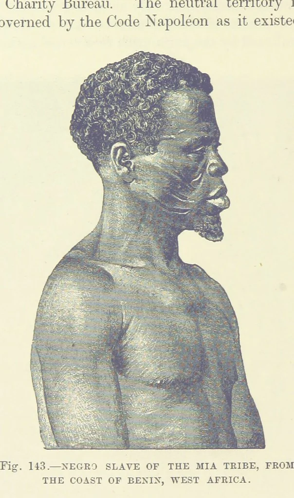 An illustration from Our Earth and its Story: a popular treatise on physical geography. Edited by R. Brown. With ... coloured plates and maps, etc, 1893, leaf 178