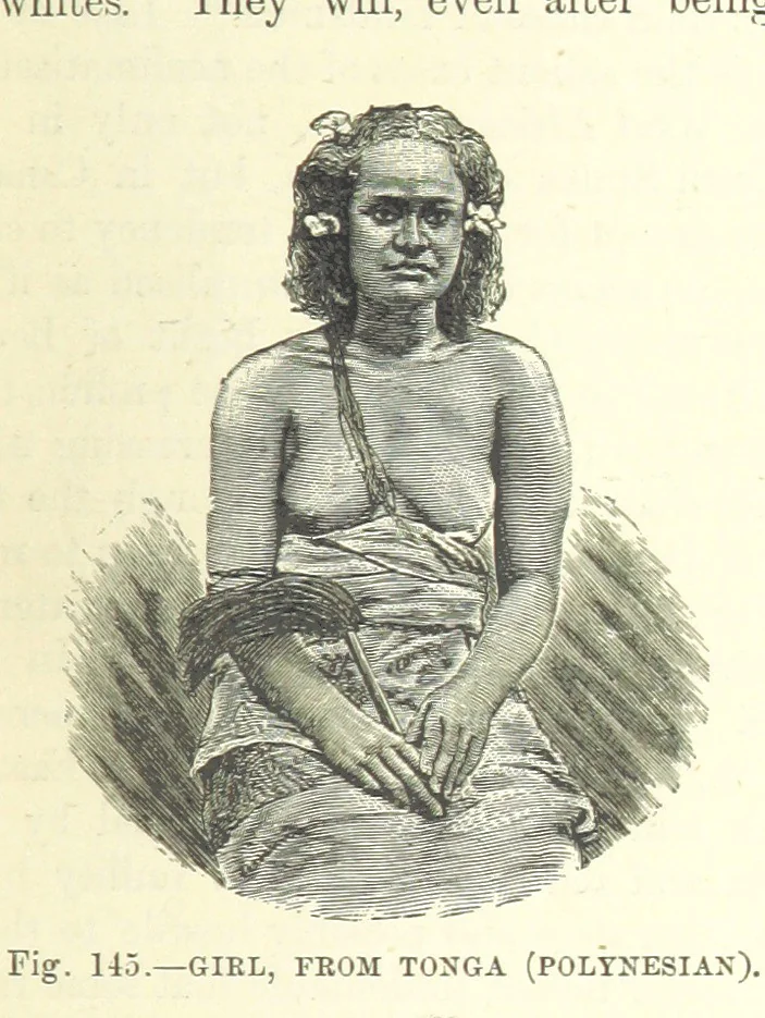 An illustration from Our Earth and its Story: a popular treatise on physical geography. Edited by R. Brown. With ... coloured plates and maps, etc, 1893, leaf 179