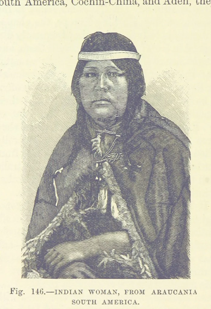 An illustration from Our Earth and its Story: a popular treatise on physical geography. Edited by R. Brown. With ... coloured plates and maps, etc, 1893, leaf 180