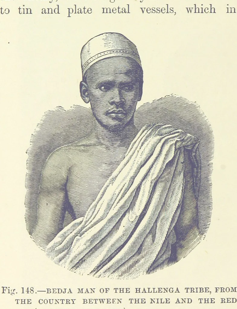 An illustration from Our Earth and its Story: a popular treatise on physical geography. Edited by R. Brown. With ... coloured plates and maps, etc, 1893, leaf 184