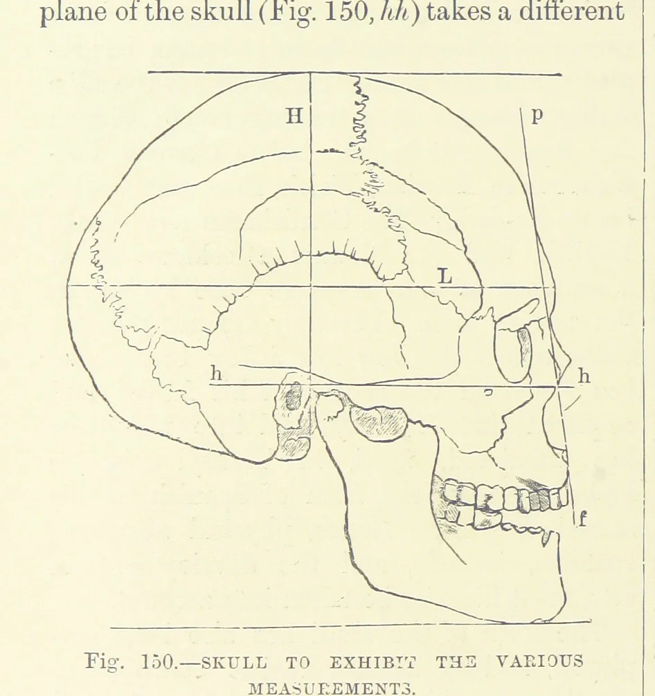 An illustration from Our Earth and its Story: a popular treatise on physical geography. Edited by R. Brown. With ... coloured plates and maps, etc, 1893, leaf 188