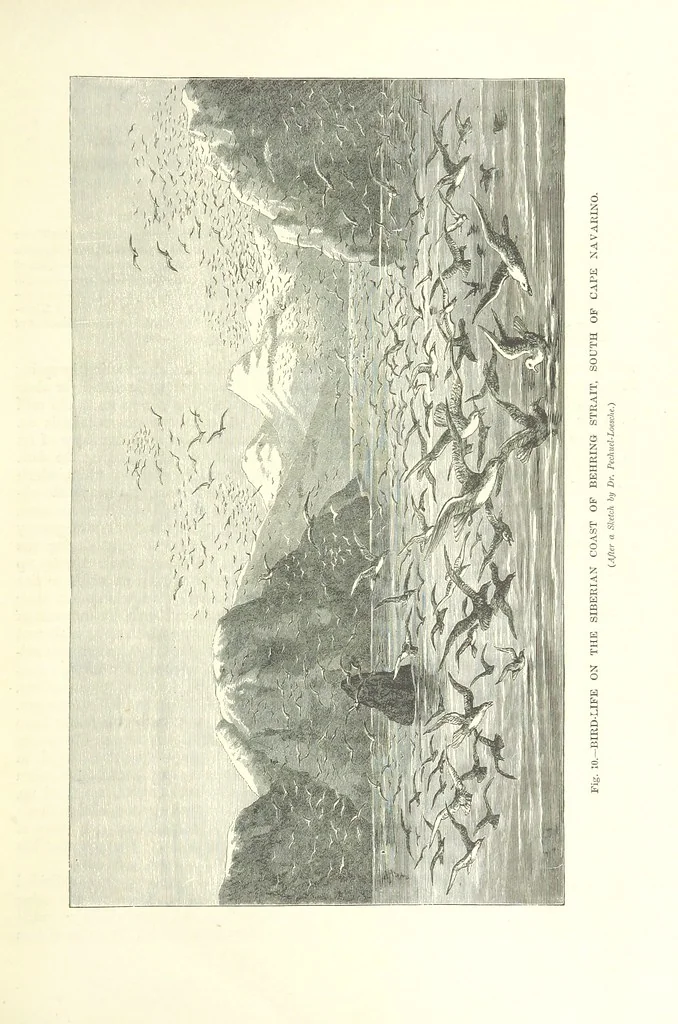 An illustration from Our Earth and its Story: a popular treatise on physical geography. Edited by R. Brown. With ... coloured plates and maps, etc, 1893, leaf 19